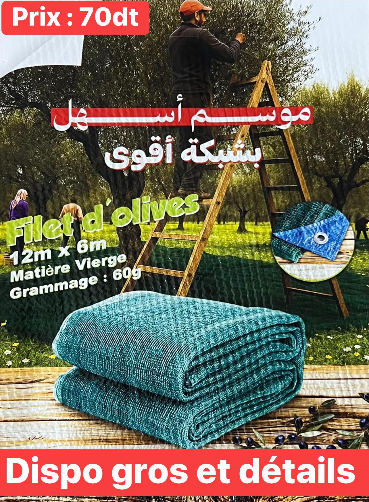 filet d'olives 6*12m